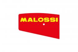 MALOSSI 1411411 vzduchov filter pre HONDA X8R