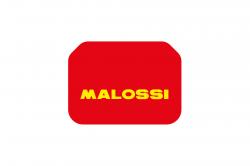 MALOSSI 1412432 vzduchov filter pre SUZUKI BURGMAN 400